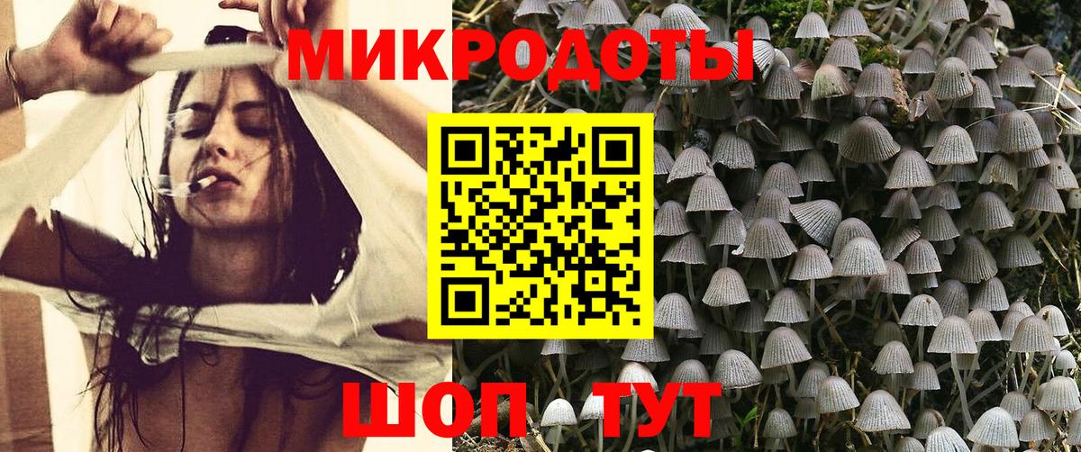 Избербаш  Псилоцибиновые грибы GOLDEN TEACHER  Вход с VPN 
